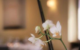 Charme Hotel Ristorante Tre Terre